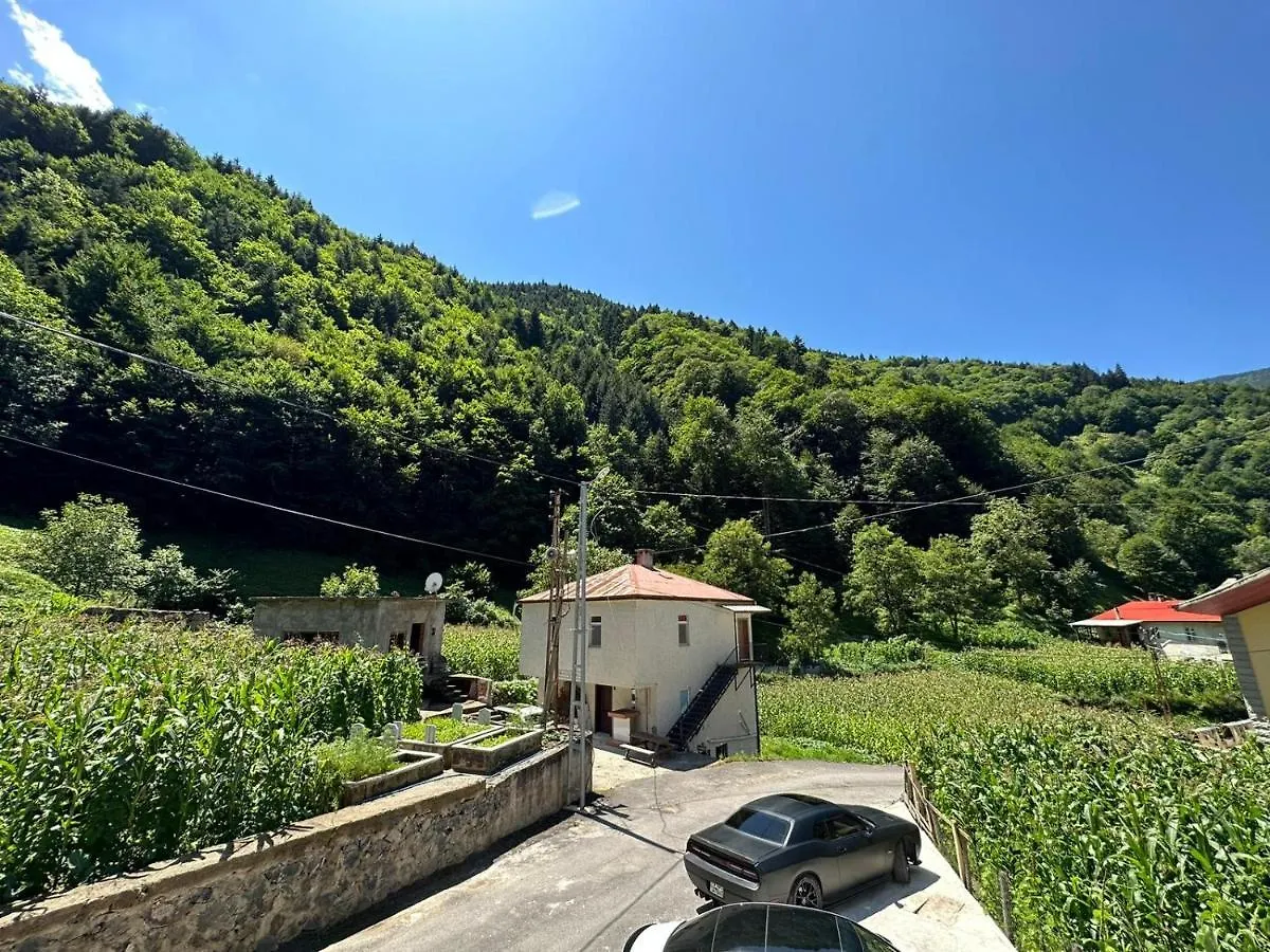 Uzungol Meryemli Suit Apartamento Trebizonda Turquia