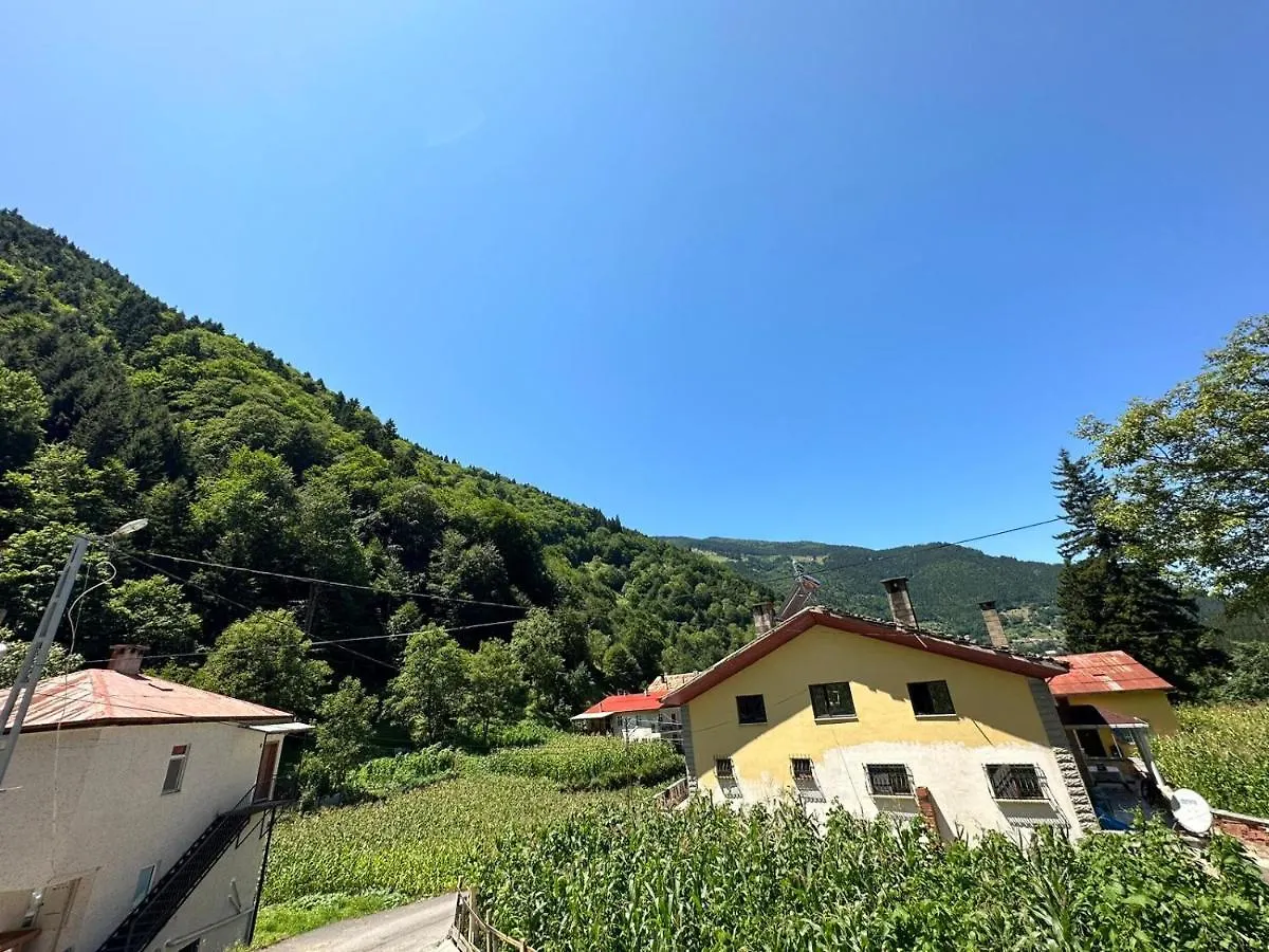 Uzungol Meryemli Suit Apartamento Trebizonda 0*,  Turquia